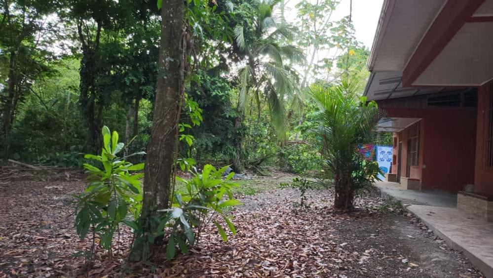 Hostel Manuel Antonio Park Jungle ภายนอก รูปภาพ